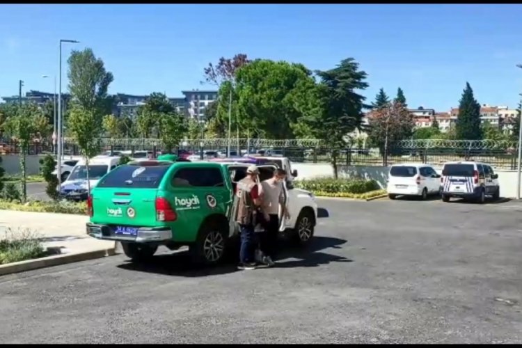 Sokak kedisini &ouml;ld&uuml;ren pitbullun sahibine 14 bin 982 lira ceza