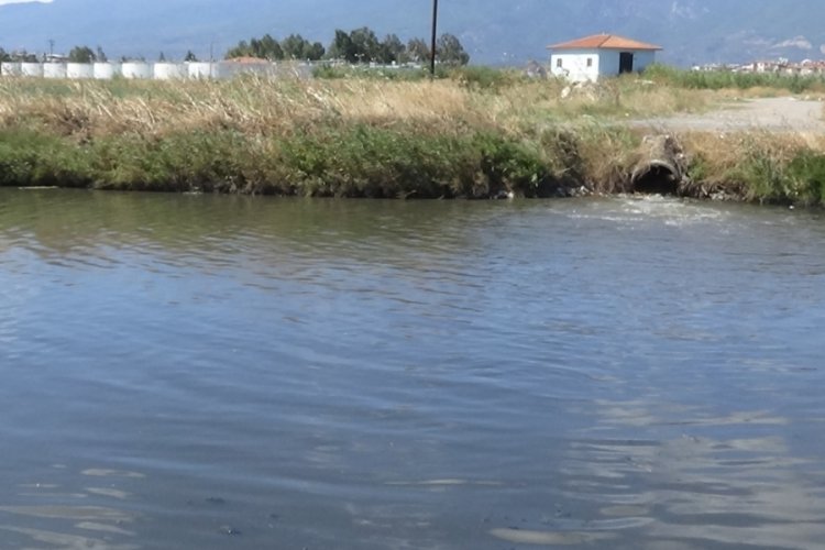 Edremit &Ccedil;ayı'nda kirlilik... K&ouml;t&uuml; kokudan durulmuyor!