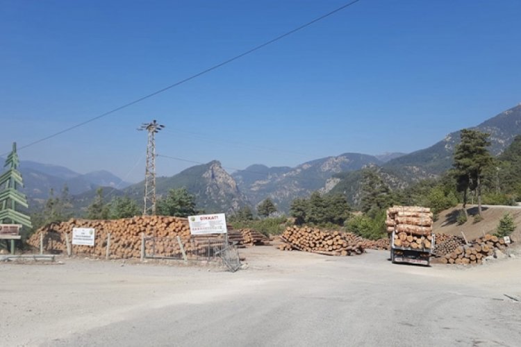 &Uuml;zerine tomruk devrilen iş&ccedil;i hayatını kaybetti