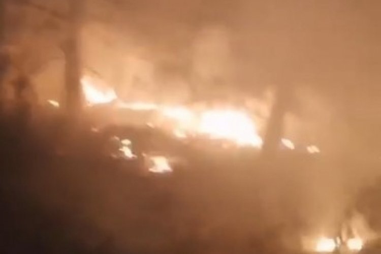 Kastamonu'da orman yangını