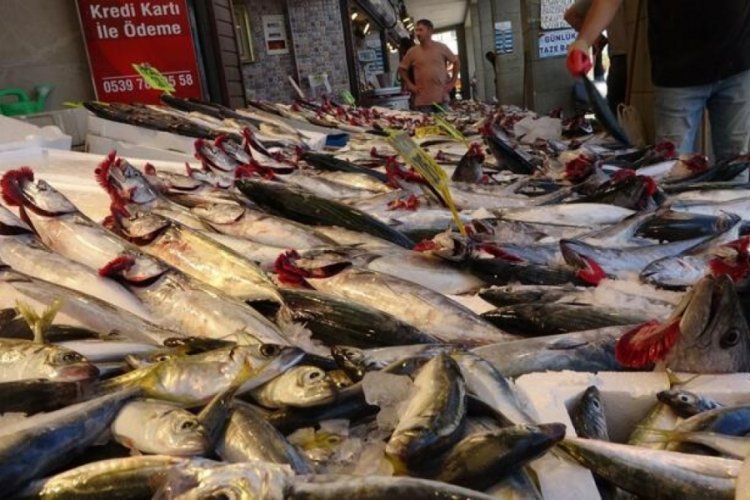 Balık halinde tezg&acirc;hları palamutlar doldurdu
