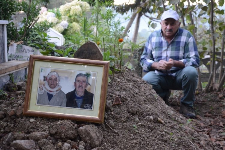 Annesinin &ccedil;alınan dişini getirene 2 ton fındık verecek