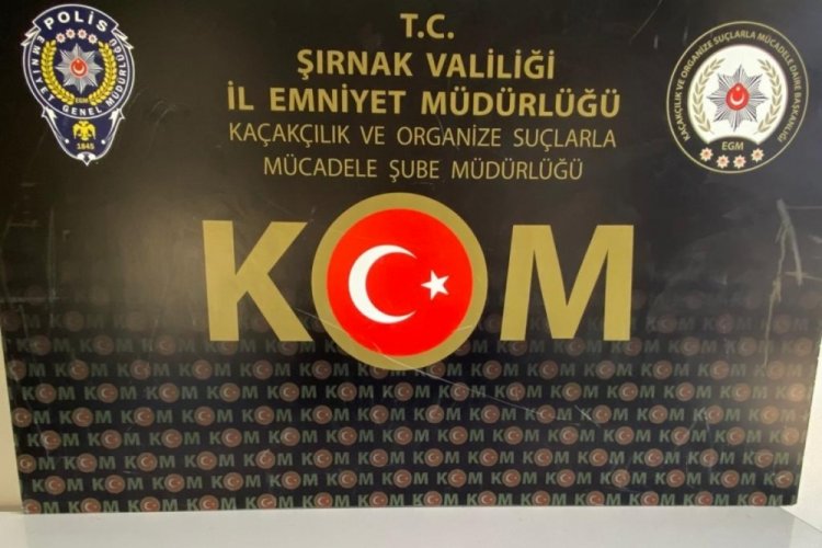 Şırnak'ta ka&ccedil;ak&ccedil;ılık operasyonu: 29 g&ouml;zaltı