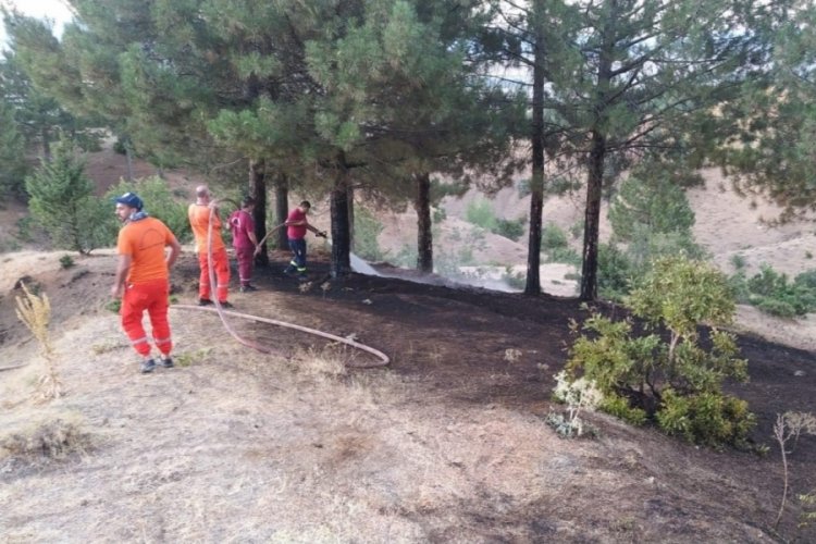 Bing&ouml;l'de otluk yangını