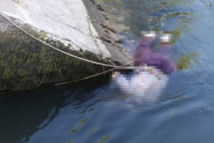 Sulama kanalında kadın cesedi bulundu