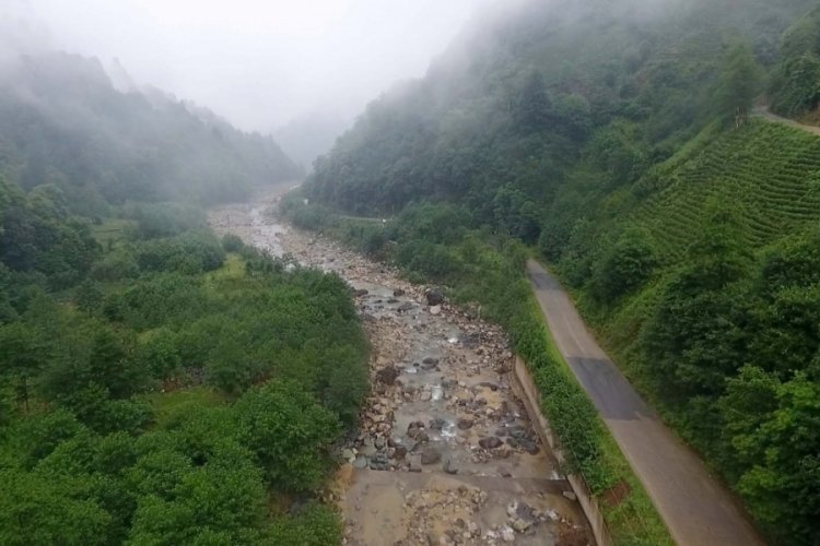 Karadeniz'de azalan yağışlar, kuraklık tehlikesini de beraberinde getiriyor
