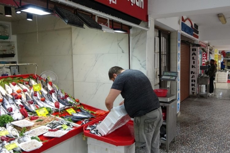 Palamudun fiyatında yarı yarıya d&uuml;ş&uuml;ş