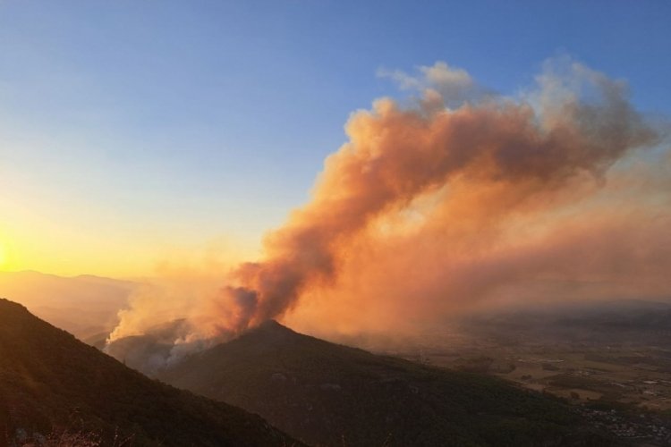 Muğla'da yangınla m&uuml;cadele s&uuml;r&uuml;yor
