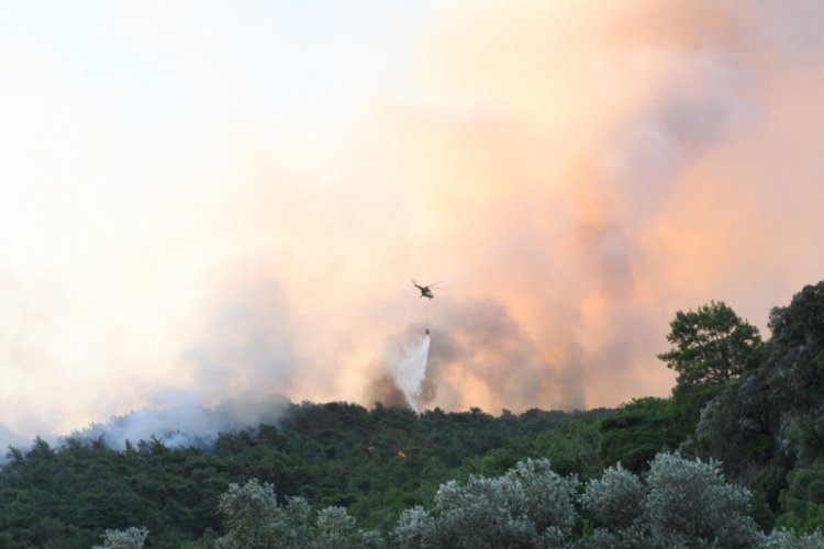 Muğla'daki orman yangını kontrol altına alındı
