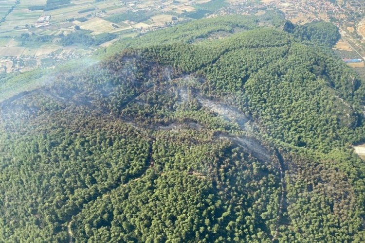Muğla'daki orman yangınında 50 hektar alan zarar g&ouml;rd&uuml;