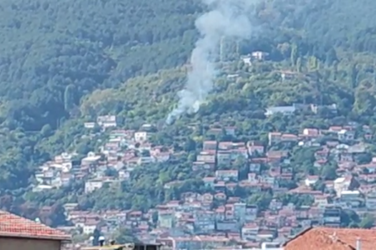Bursa'da orman yangını