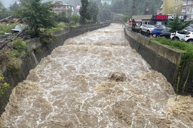 Artvin'de yoğun yağış sele neden oldu