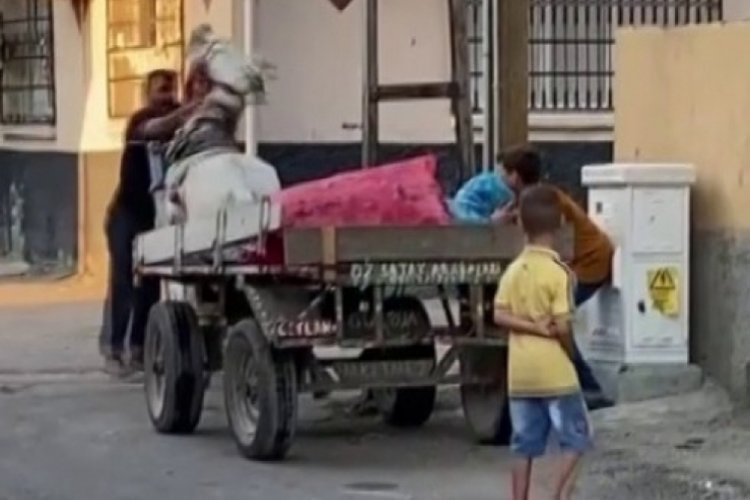 Atı yumruklayan seyyar satıcının cezası belli oldu