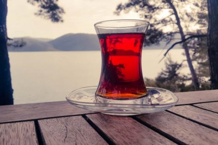 T&uuml;rkiye'nin &ccedil;ay ihracatı 15 milyon doları aştı