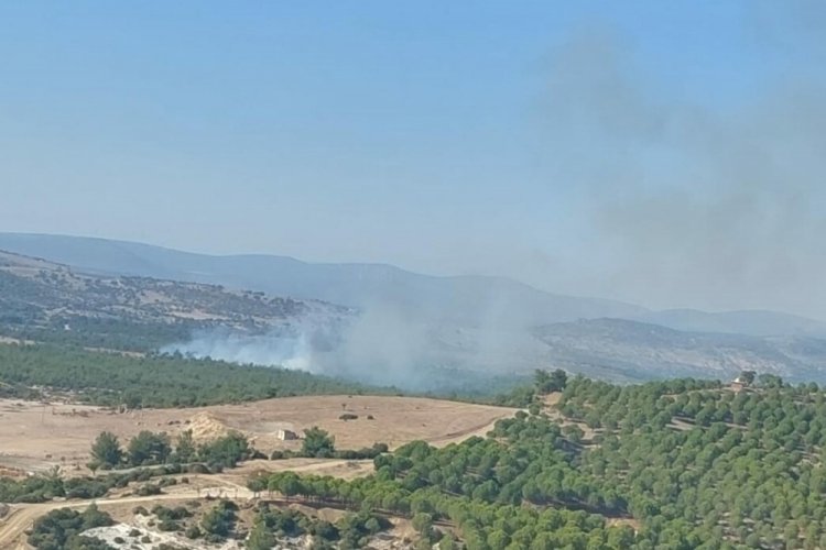 Manisa'da orman yangını &ccedil;ıktı