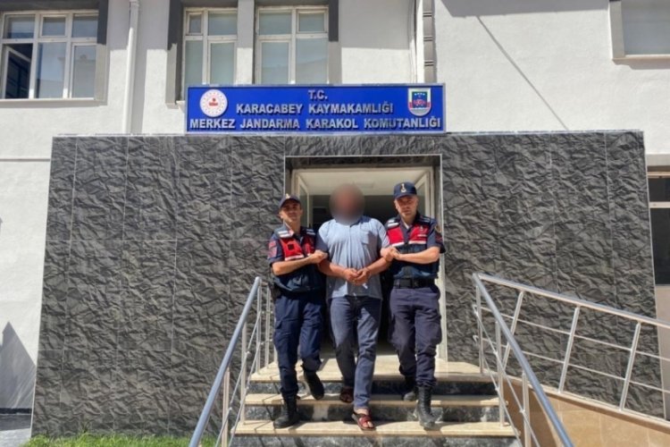 Bursa'da ceviz dolandırıcısı yakalandı