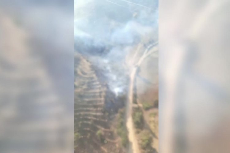 Adana'da orman yangını &ccedil;ıktı