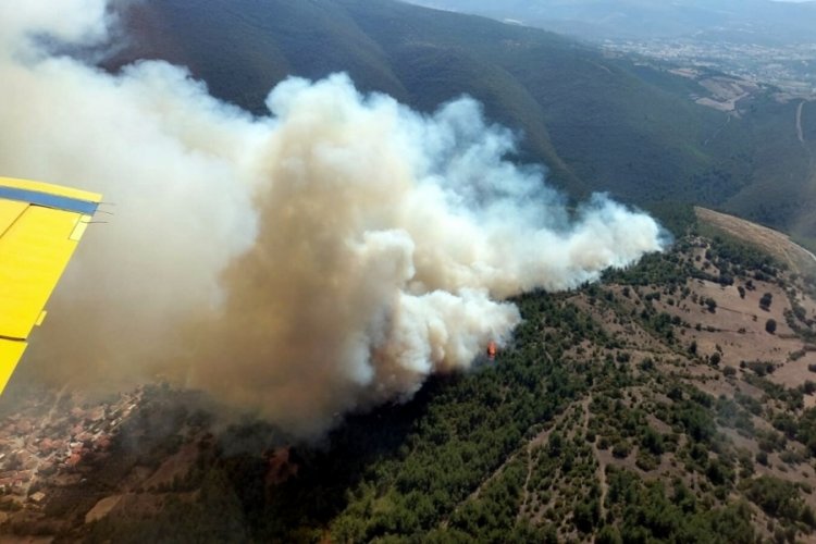Balıkesir'de orman yangını &ccedil;ıktı