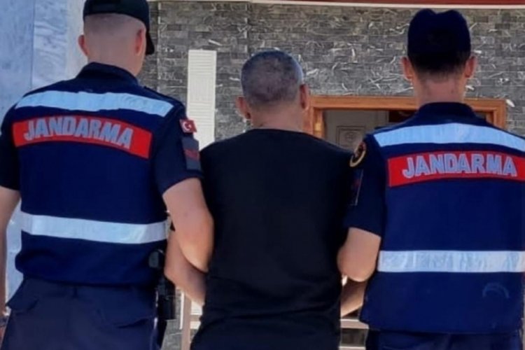Bursa'da Jandarma'dan oto hırsızı operasyonu