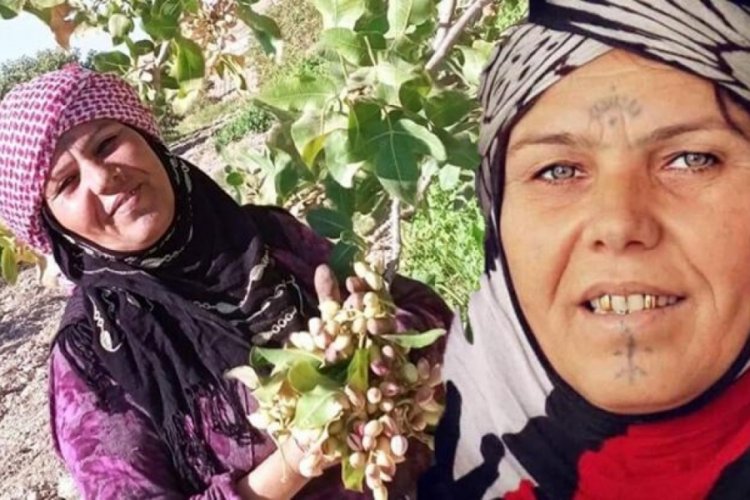 Fıstık bah&ccedil;esinde feci olay! 48 yaşındaki kadın hayatını kaybetti