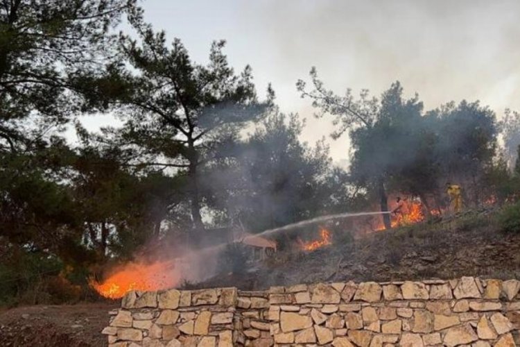 Hatay'da orman yangını