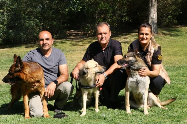 TBMM'nin kahraman arama k&ouml;pekleri