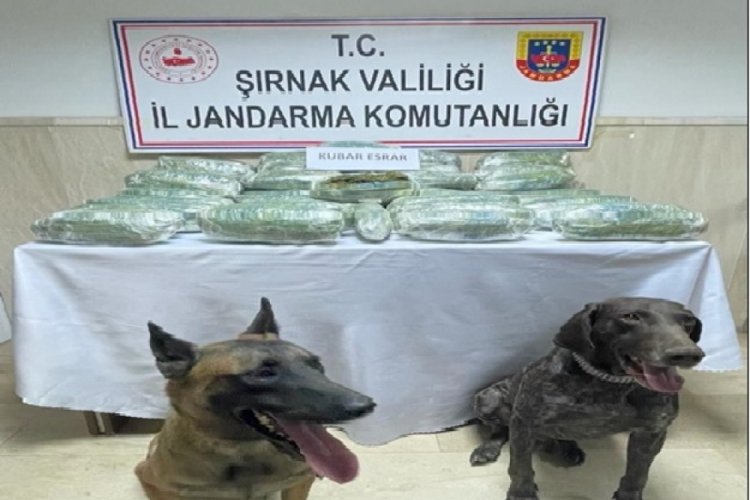 Şırnak'ta d&uuml;zenlenen ka&ccedil;ak&ccedil;ılık operasyonlarında 37 g&ouml;zaltı