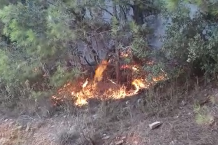 Alanya'da ikinci orman yangını b&uuml;y&uuml;meden s&ouml;nd&uuml;r&uuml;ld&uuml;