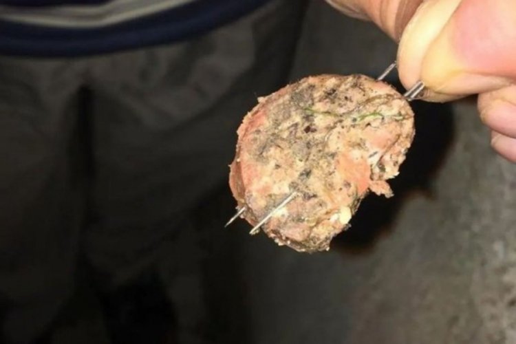 Bunu yapan insan olamaz! B&uuml;y&uuml;k vicdansızlık
