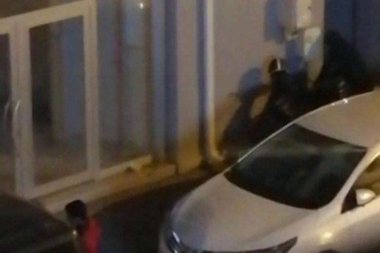 Acemi hırsızlar kameraya yakalandı