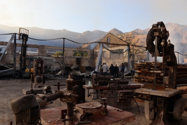Erzurum'da Oltu'da kereste fabrikası yandı, zarar 50 milyon TL