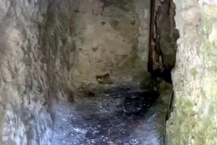 Pen&ccedil;e-Kilit b&ouml;lgesinde &ccedil;ok sayıda silah ve m&uuml;himmat ele ge&ccedil;irildi