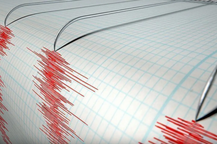 Meksika'da deprem
