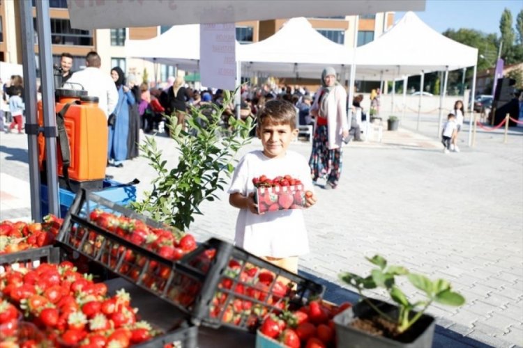 Bursa İneg&ouml;l'de 'Kırmızı Elmas'ın' &uuml;n&uuml; sınırları aşıyor