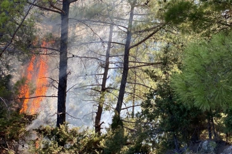 &nbsp;Adana'da &ccedil;ifte orman yangını