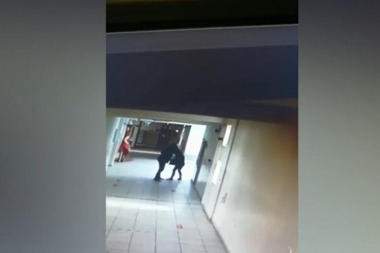 Ankara'da okulda mide bulandıran olay!
