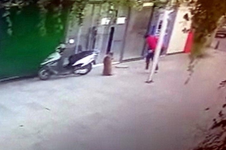Muğla'da sokak k&ouml;peği Boris'i bı&ccedil;aklayarak &ouml;ld&uuml;ren şahıs g&ouml;zaltına alındı