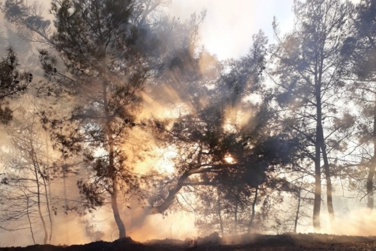 Antalya'da orman yangını b&uuml;y&uuml;meden s&ouml;nd&uuml;r&uuml;ld&uuml;