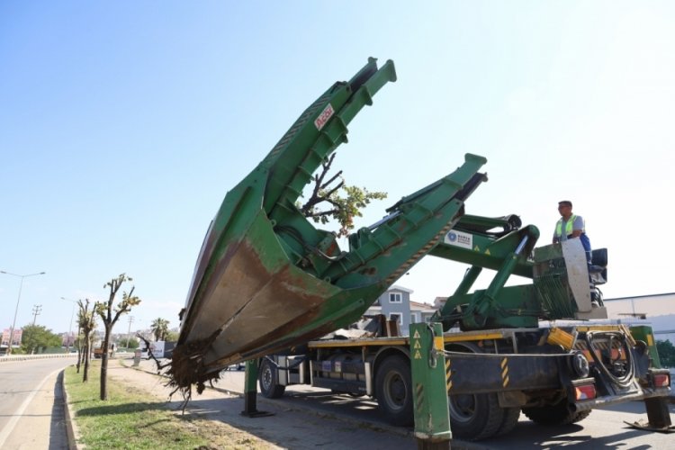 Bursa'da yol &ccedil;alışmasında kalan ağa&ccedil;lar taşınıyor
