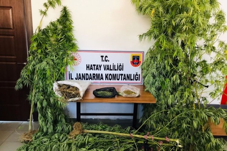 Hatay'da uyuşturucu operasyonunda 1 g&ouml;zaltı