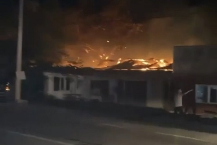 Bursa'da samanlık yangını