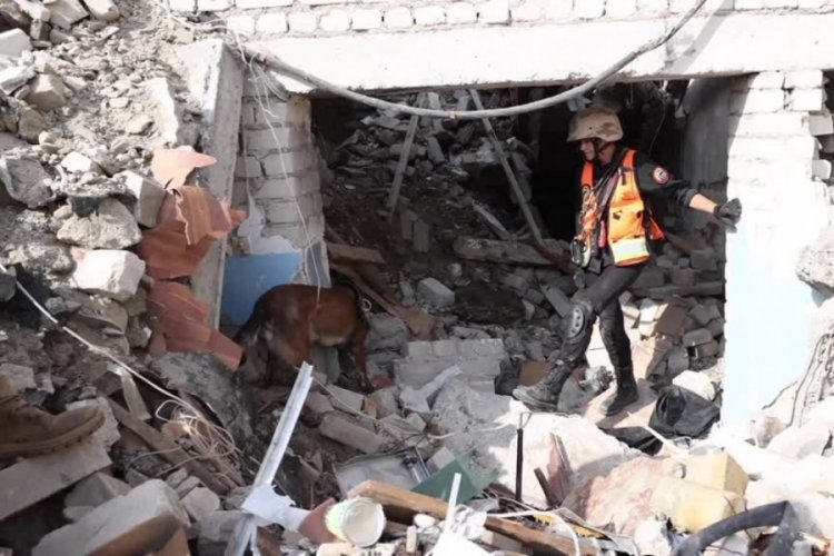 Ukrayna'da kadavra k&ouml;pekleri askerlerin cansız bedenlerini arıyor