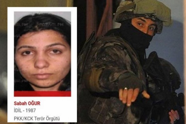 MİT'ten Halep'te nokta operasyon