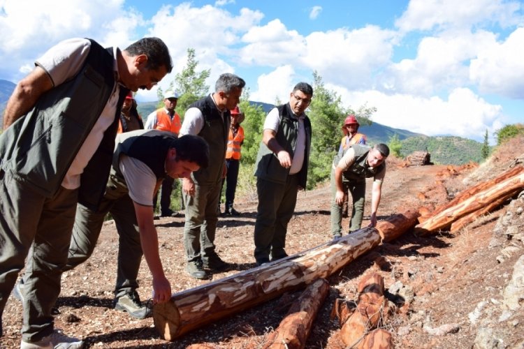 Hatay'da orman yangınına karşı &uuml;st seviye &ouml;nlemler