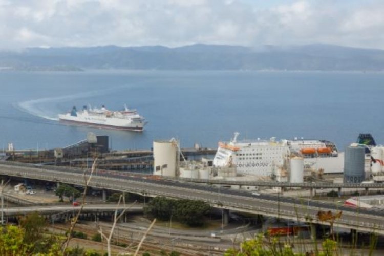 Yeni Zelanda'da deniz yoluyla canlı hayvan ihracatı yasaklanıyor