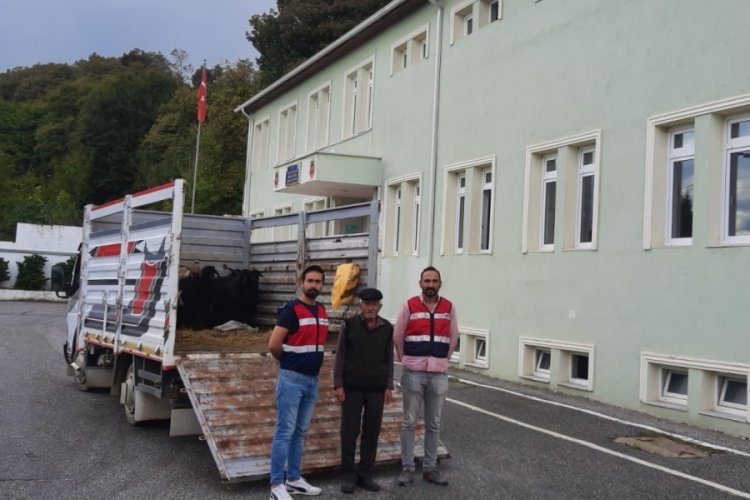 İzmit'te sahte para ile dolandırıcılık yapan 2 kişiye g&ouml;zaltı