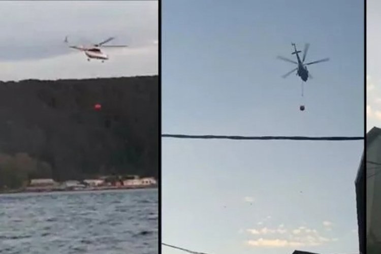 İstanbul Beykoz'da orman yangını ekiplerin hızlı m&uuml;dahelesiyle s&ouml;nd&uuml;r&uuml;ld&uuml;