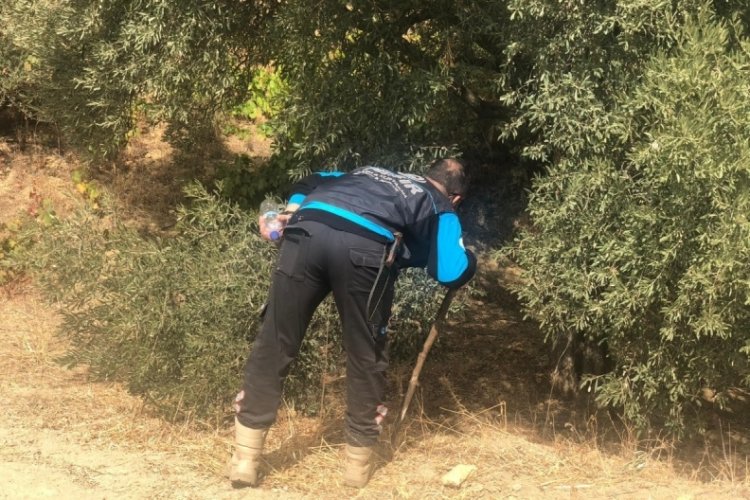Aydınlı avcı k&ouml;şe bucak aranıyor