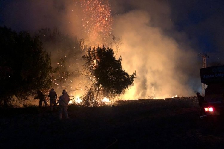 &Ccedil;anakkale Biga'da orman yangını