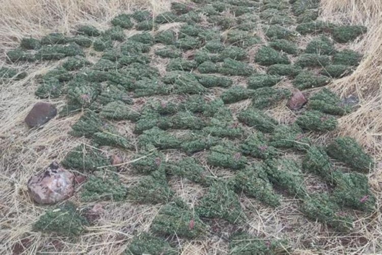 Diyarbakır'da 596 kilo esrar ele ge&ccedil;irildi ​